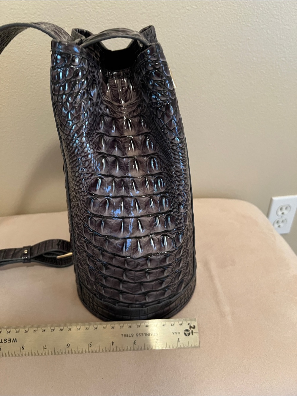 Brahmin - Picture 5 of 8